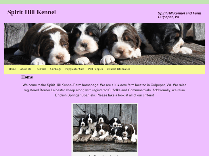 www.spirithillkennel.com