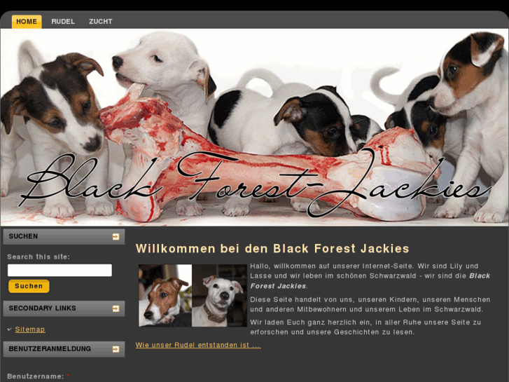 www.blackforest-jackies.com