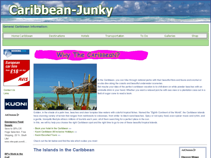 www.caribbean-junky.com