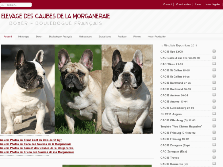 www.caubes.com