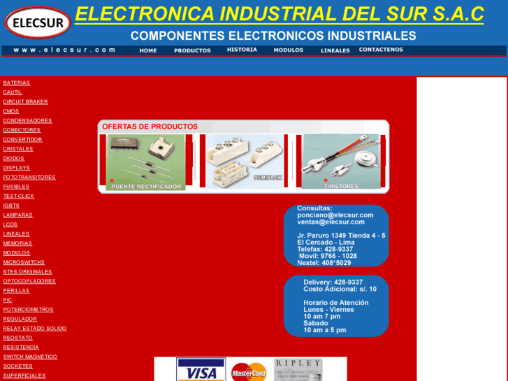 www.elecsur.com