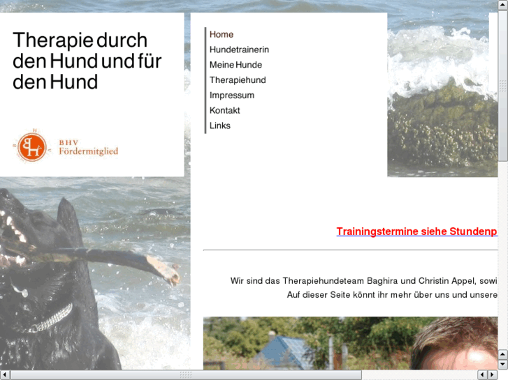 www.hundetrainerin.info