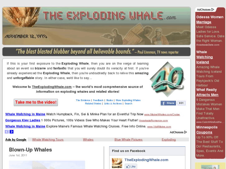 www.theexplodingwhale.com