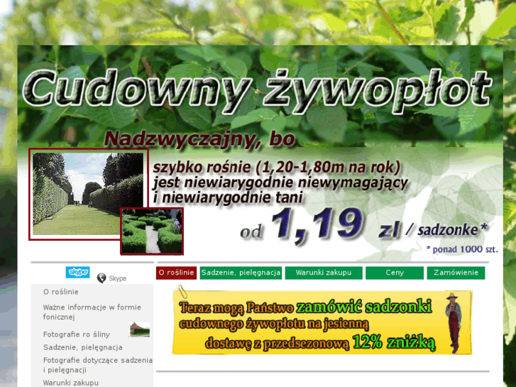 www.zywoplot.com