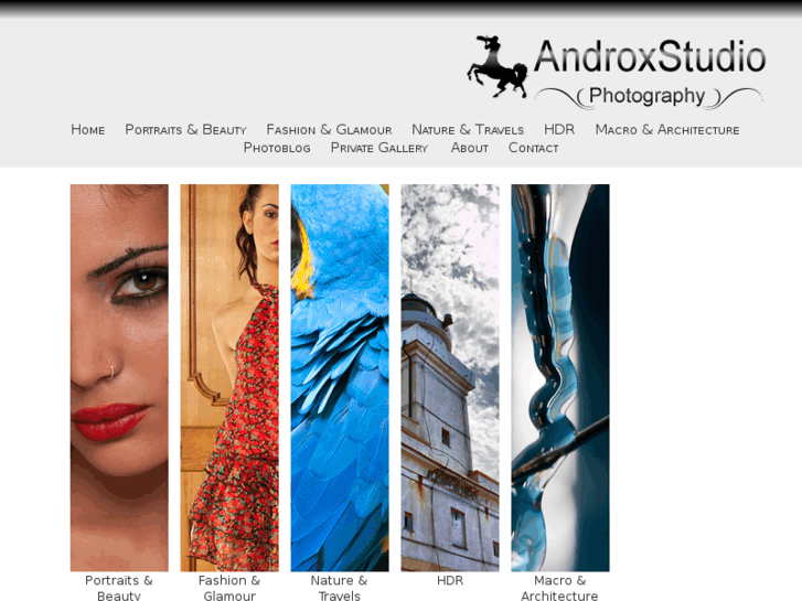 www.androxstudio.it