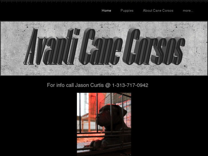 www.avanticanecorso.com