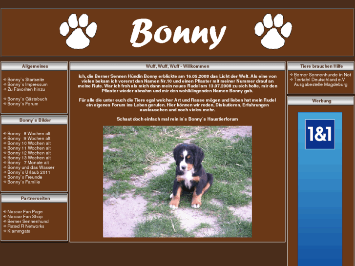 www.berner-bonny.de