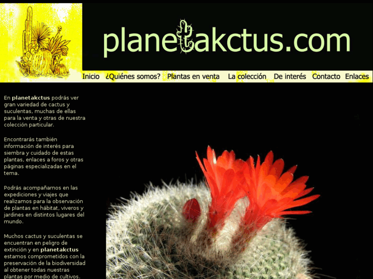 www.planetakctus.com