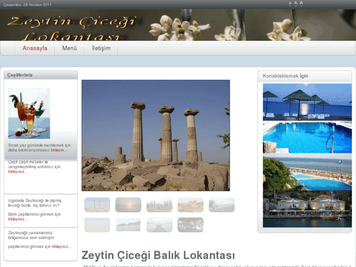 www.zeytincicegi.com