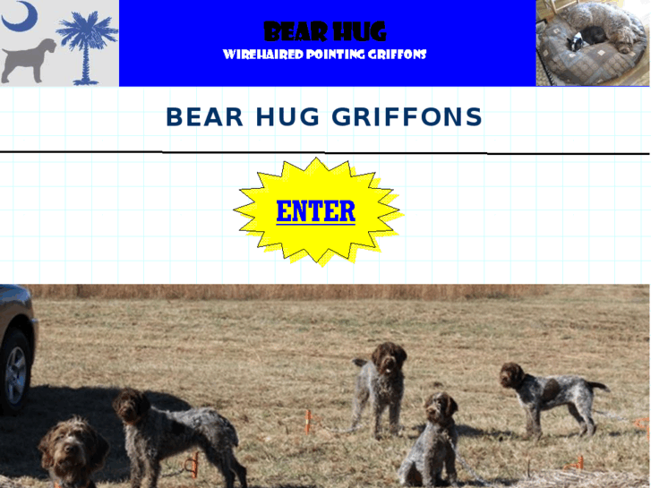 www.bearhuggriffons.com