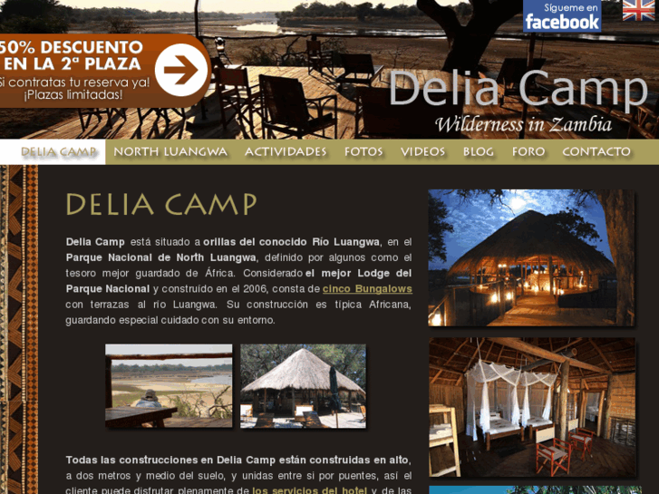 www.deliacamp.com