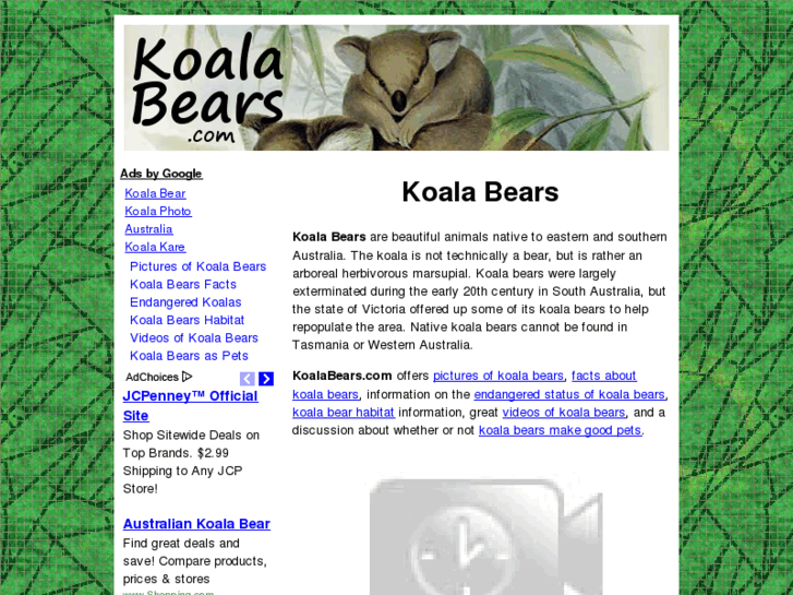 www.koalabears.com