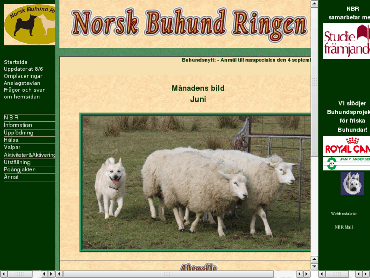 www.norskbuhund.com