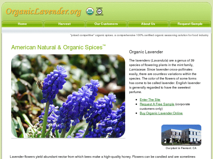 www.organiclavender.org