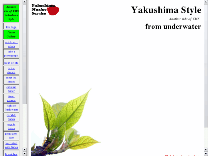 www.yakushima-style.com