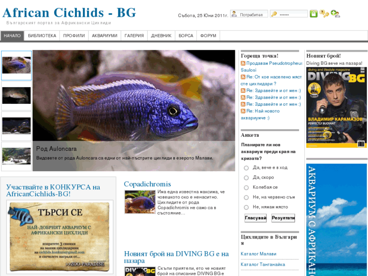 www.africancichlids-bg.com