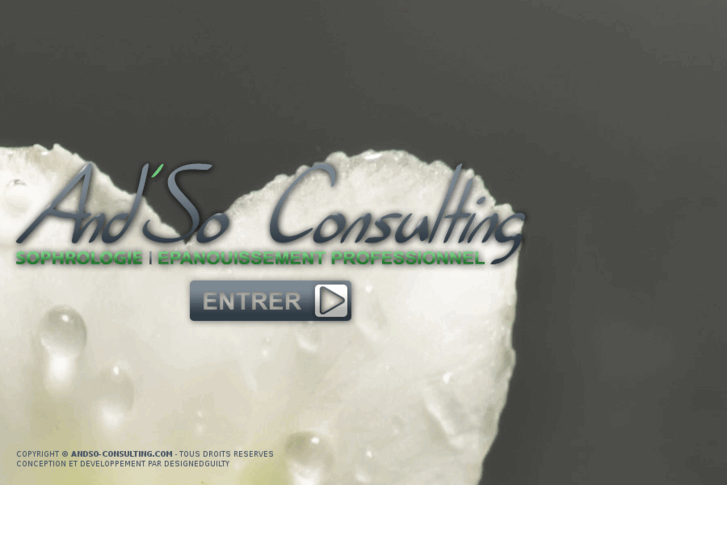 www.andso-consulting.com