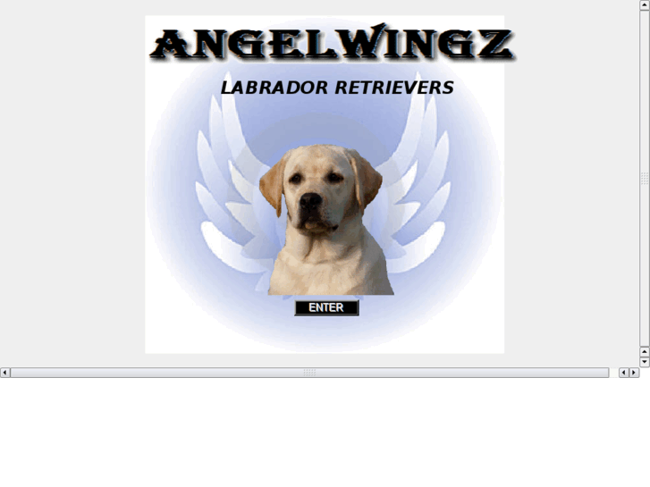 www.angelwingzlabs.com