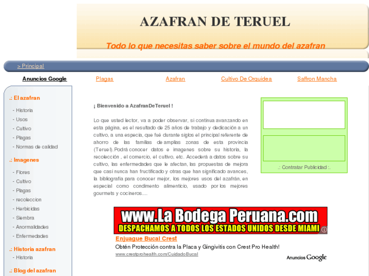 www.azafrandeteruel.com