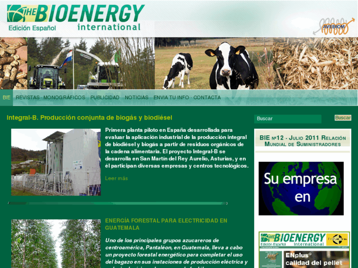 www.bioenergyinternational.es