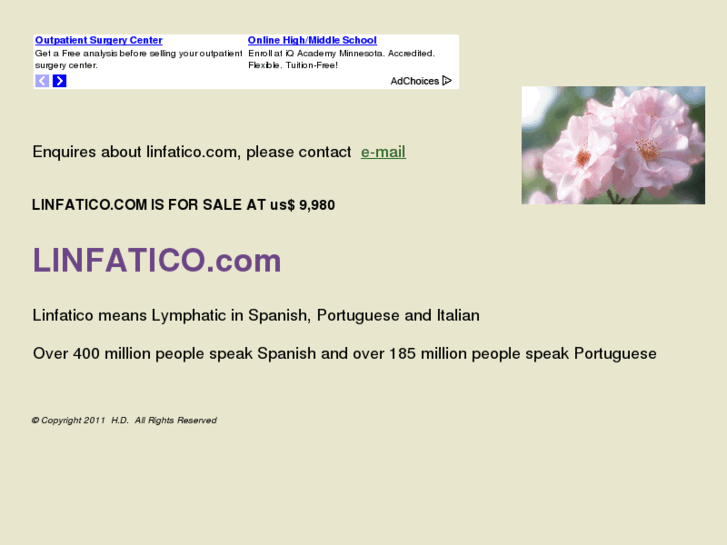 www.linfatico.com