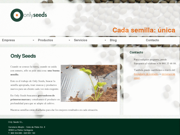 www.onlyseedssl.com