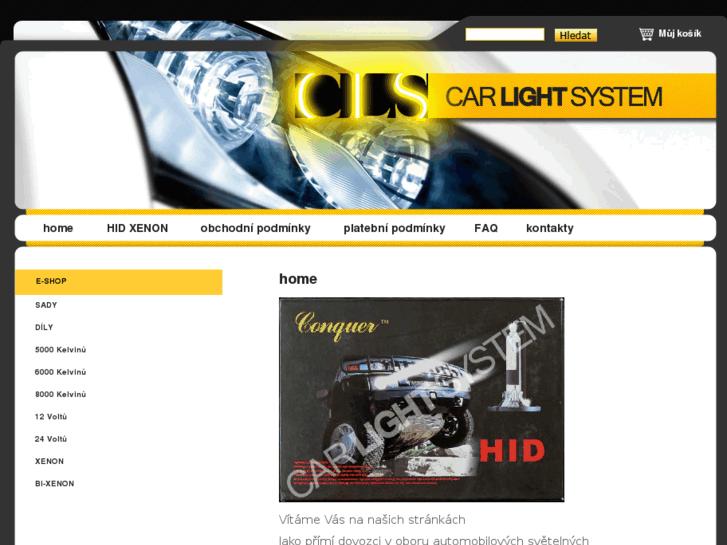 www.carlightsystem.com