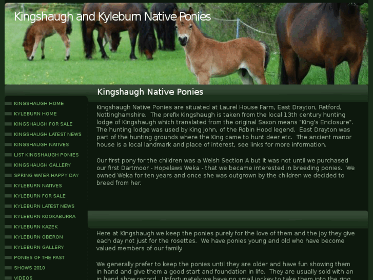 www.dartmoorponies.net