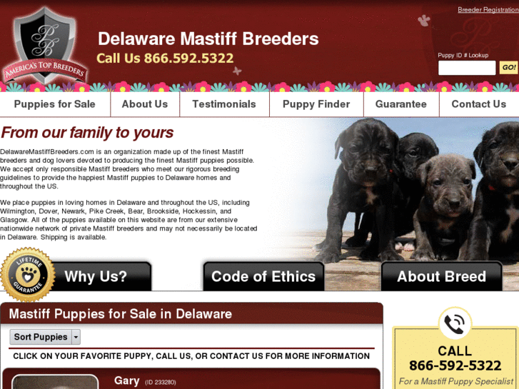 www.delawaremastiffbreeders.com