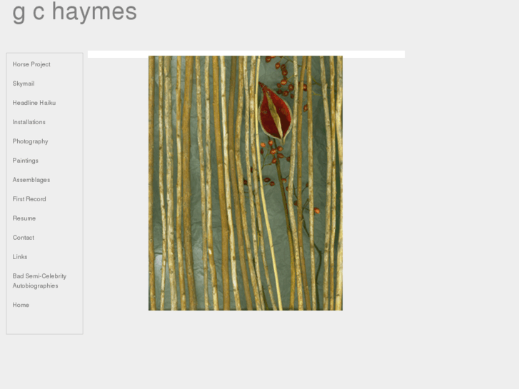 www.gchaymes.com