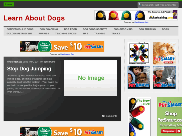 www.learnaboutdogstoday.com