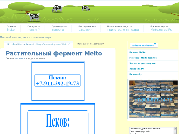 www.meito.ru