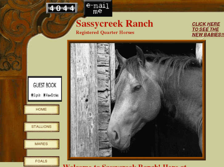 www.sassycreekranch.com