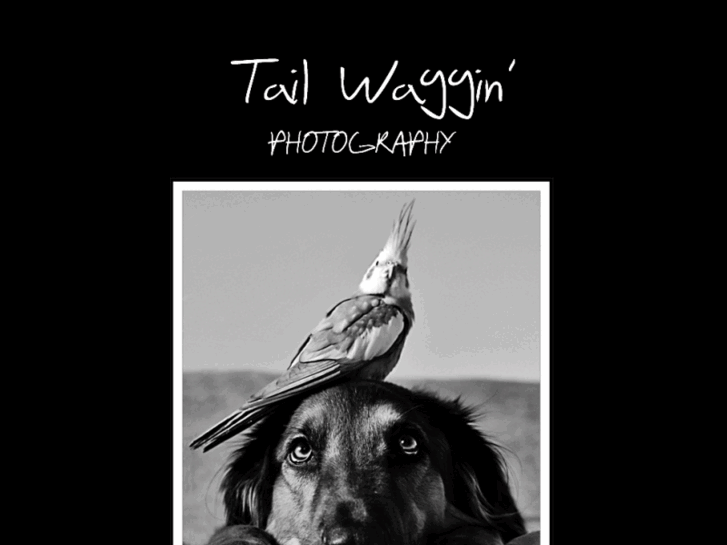 www.tailwagginphotography.com