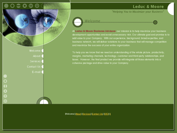 www.bizadvise.com