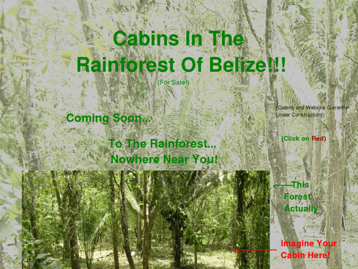 www.cabinsinbelize.com