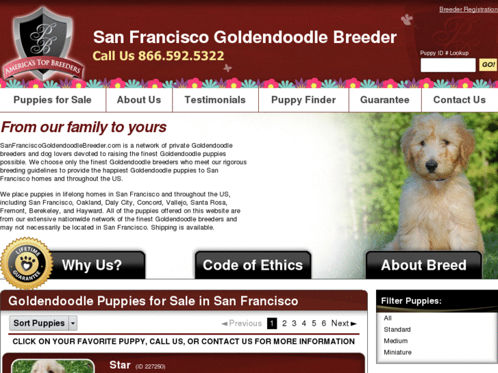 www.sanfranciscogoldendoodlebreeder.com