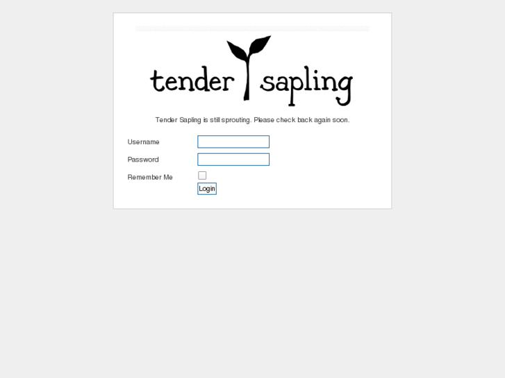 www.tendersapling.com