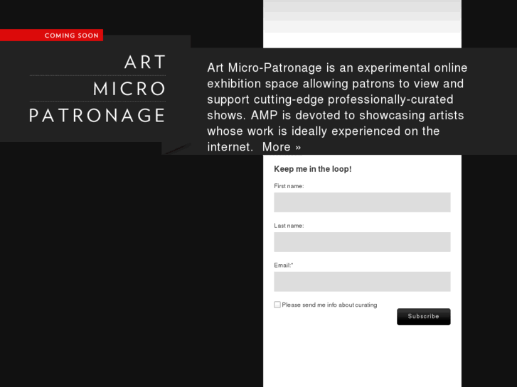 www.artmicropatronage.org