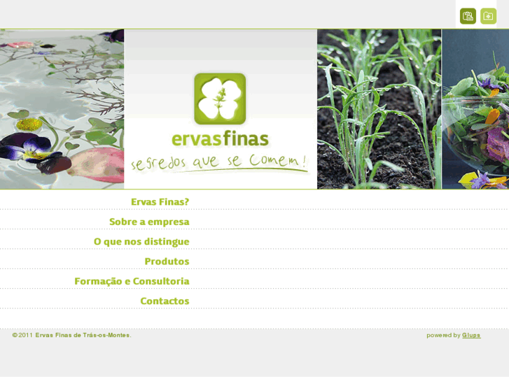 www.ervasfinas.com