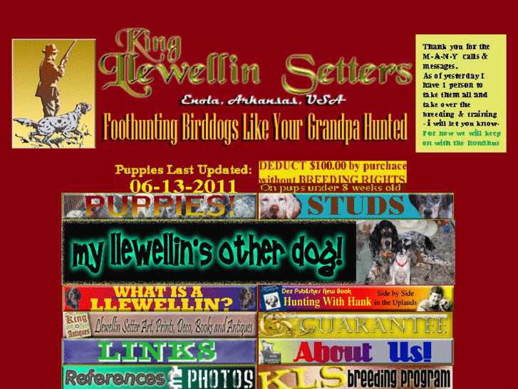 www.llewellin.com