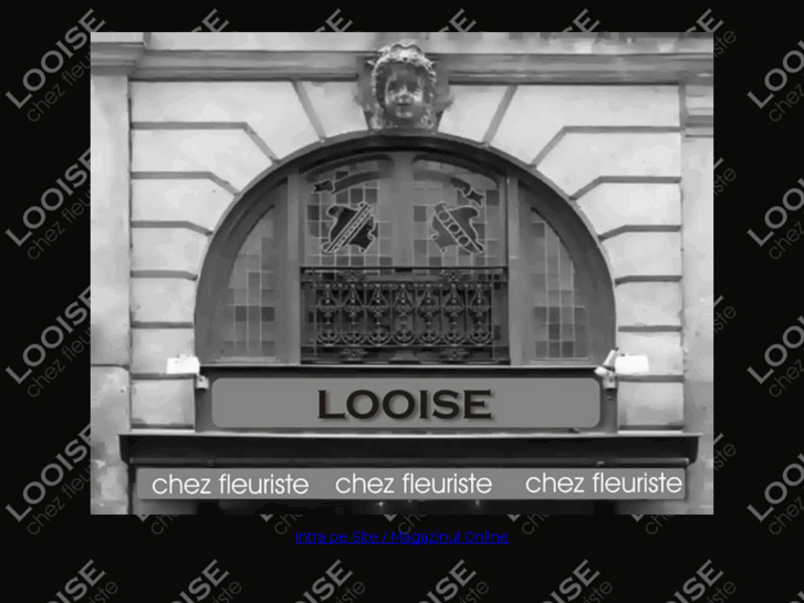 www.looise.com