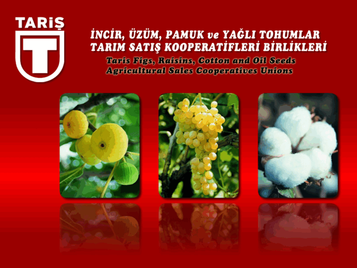 www.taris.com