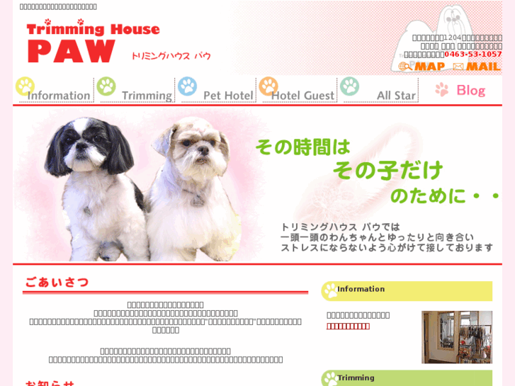 www.th-paw.com