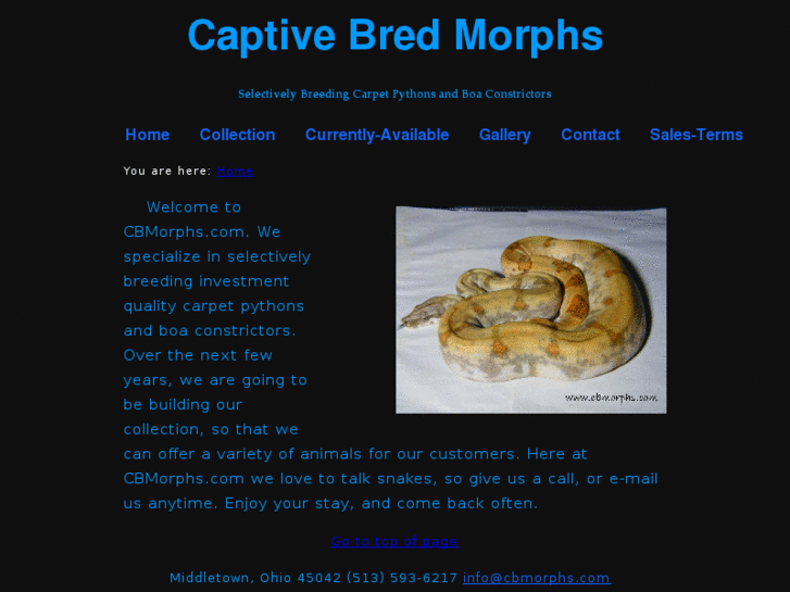 www.cbmorphs.com