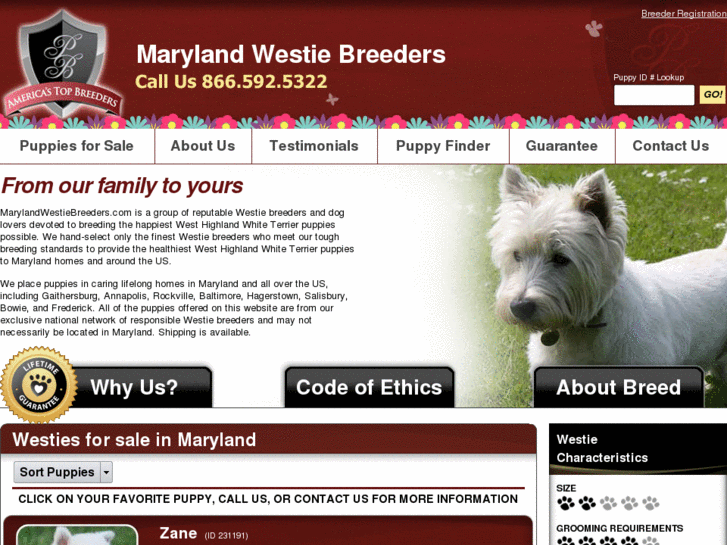 www.marylandwestiebreeders.com