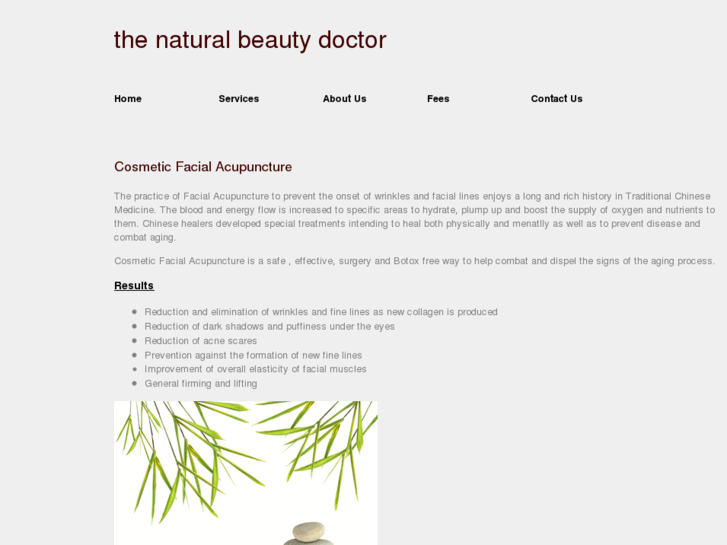 www.thenaturalbeautydoctor.com