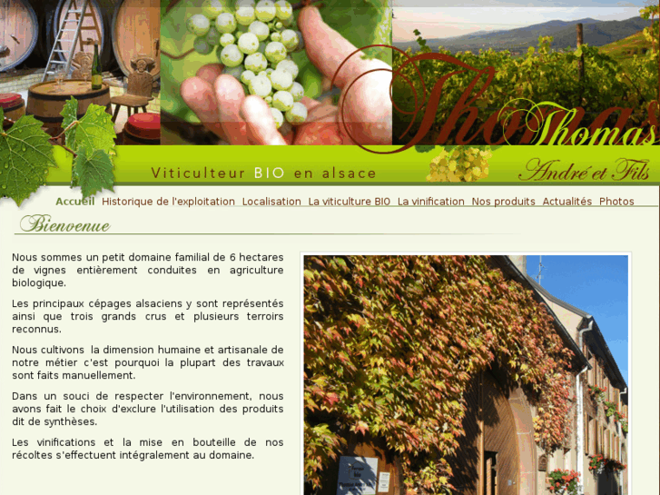 www.thomas-vin-bio-alsace.com