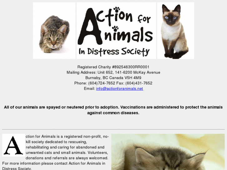 www.actionforanimals.net