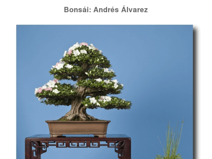 www.andresbonsai.com